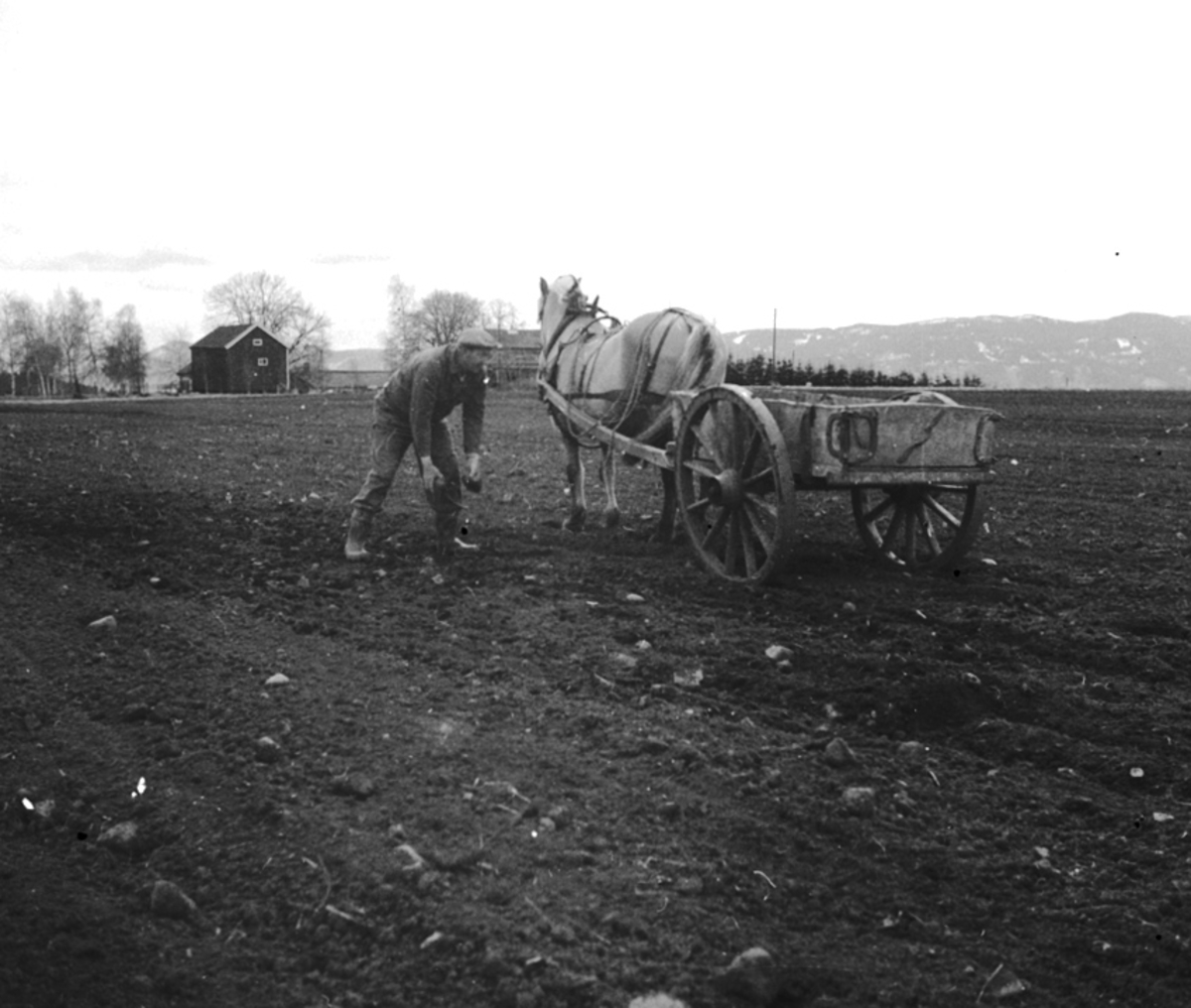 Anno Domkirkeodden, STEINPLUKKING, HEST, STUTTKJERRE, REKSTAD GÅRD,