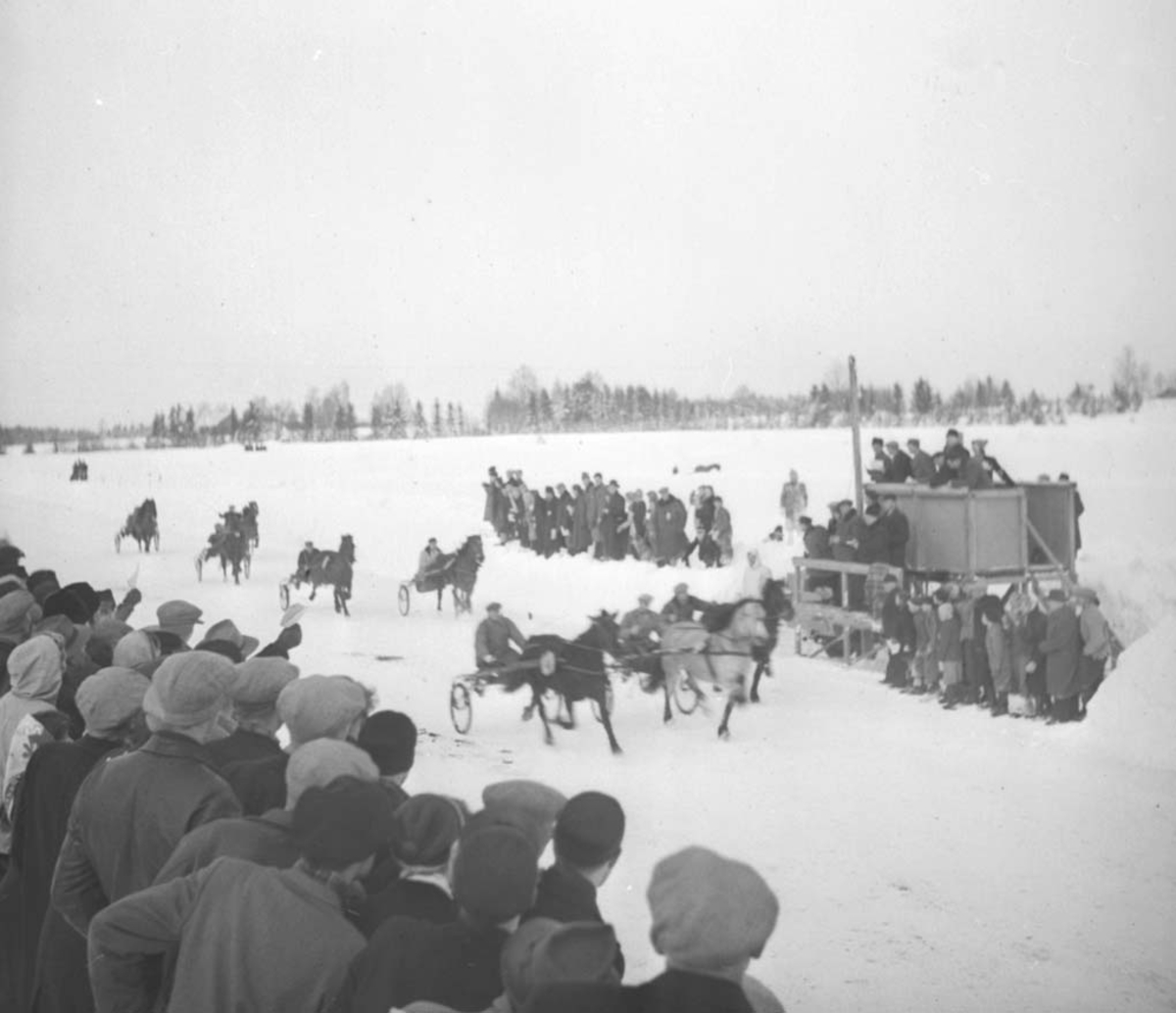 Anno Domkirkeodden, TRAVLØP, TILSKUERE, FINSTAD, VINTER