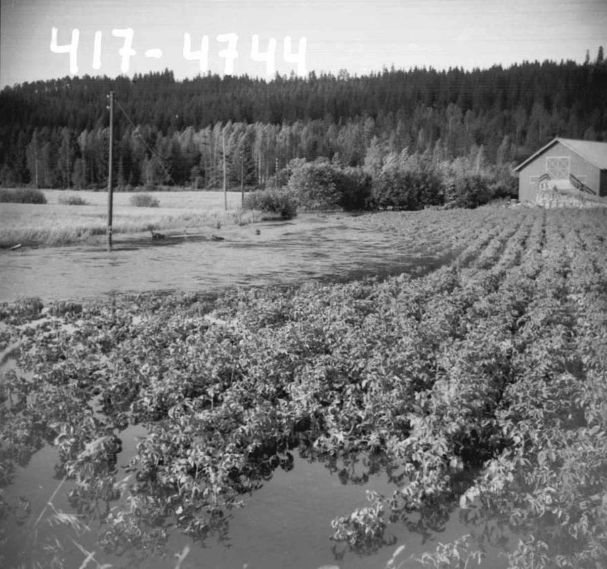 Anno Domkirkeodden, FLOMKATASTROFE, TANGEN, OVERSVØMMET JORDE,