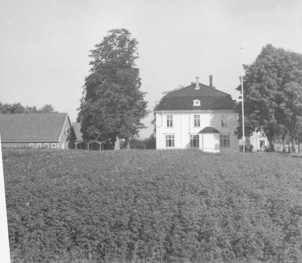 Anno Domkirkeodden, EKSTERIØR: TINGVOLD, SETT FRA SYD