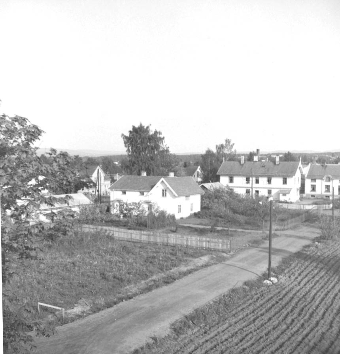 Anno Domkirkeodden, OVERSIKT SKOLEGATA, NORDRE GAARDER, OVE HOEL, OVES EIENDOM,