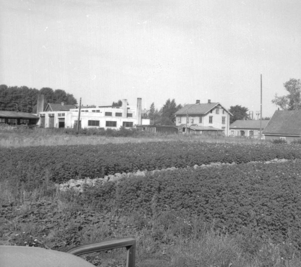 Anno Domkirkeodden, OVERSIKT SØRHOLTEBYEN, SØRHOLTE FABRIKKER, ARBEIDERBOLIG, JORDE,