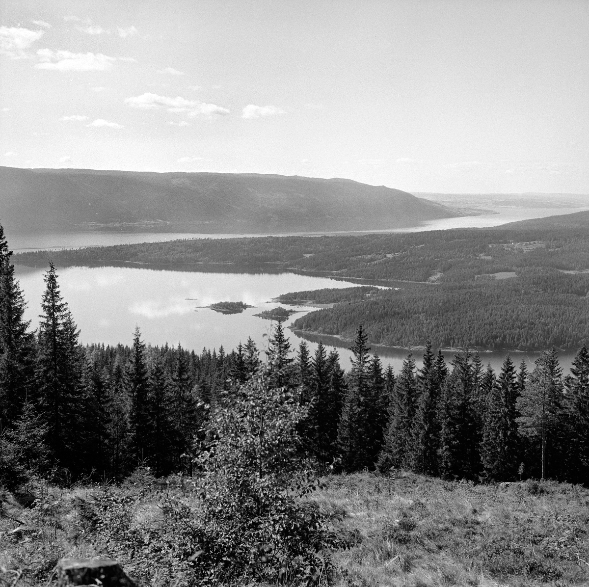 Anno Domkirkeodden, UTSIKT FRA VENSVANGEN, MJØSA MOT TANGEN