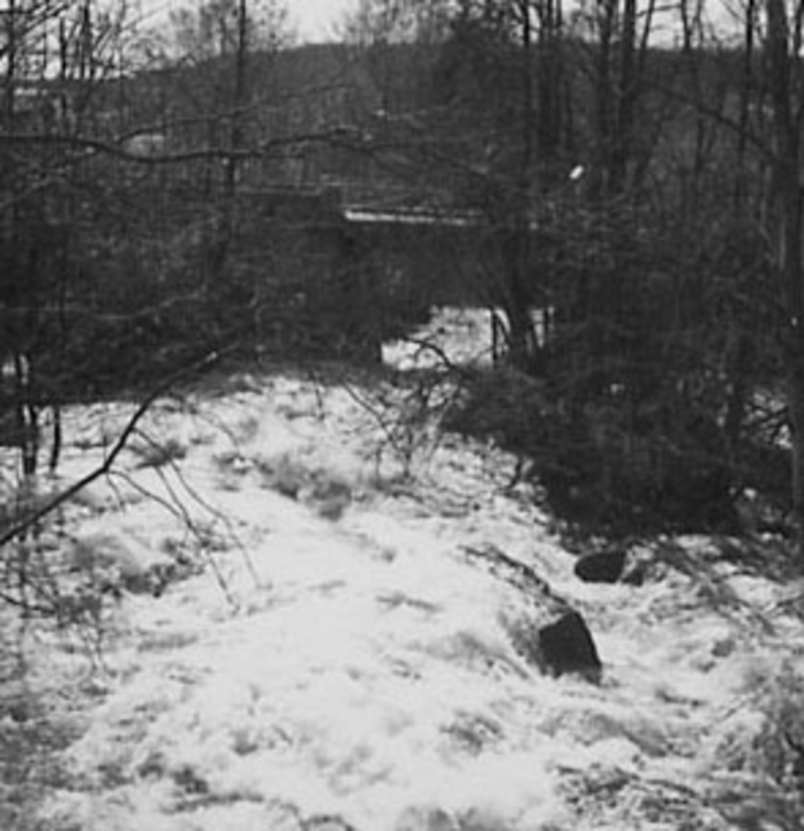 Anno Domkirkeodden, OVERSIKT VIKSELVA, NEDENFOR FOSSEN, BRU, TANGEN,