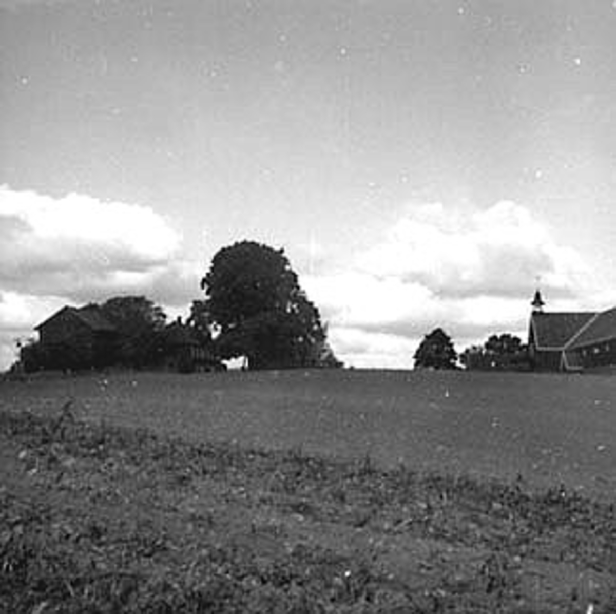 Anno Domkirkeodden, RINGNES GÅRD, UTHUSBYGNINGER