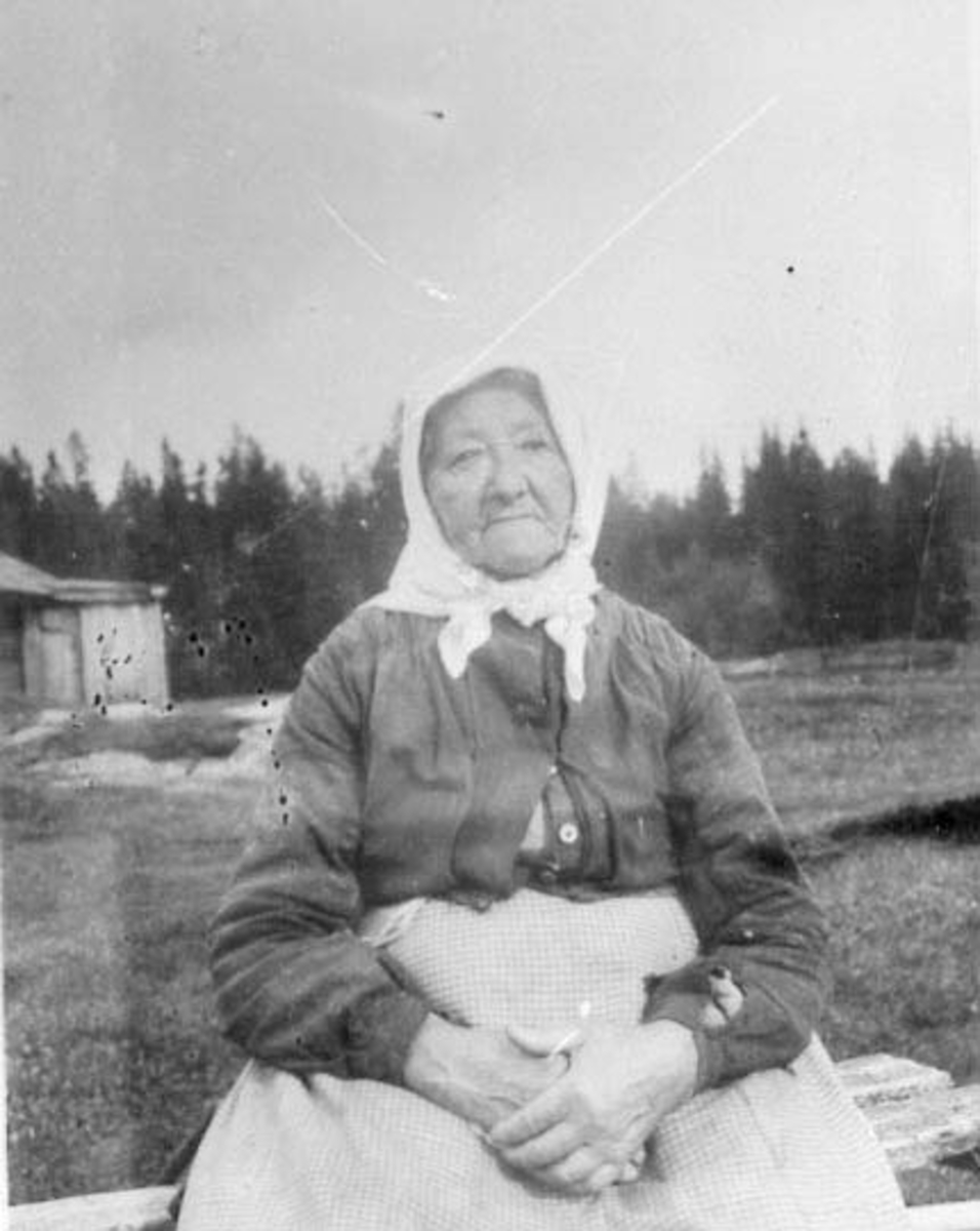 Normann Helger, PORTRETT: GURI BALBERG CHRISTOFFERSDATTER FØDT 1827 DØD 1914. HUSMANNSKONE UNDER STOR REE, RE STORE/KJERNMYR. /HAUG