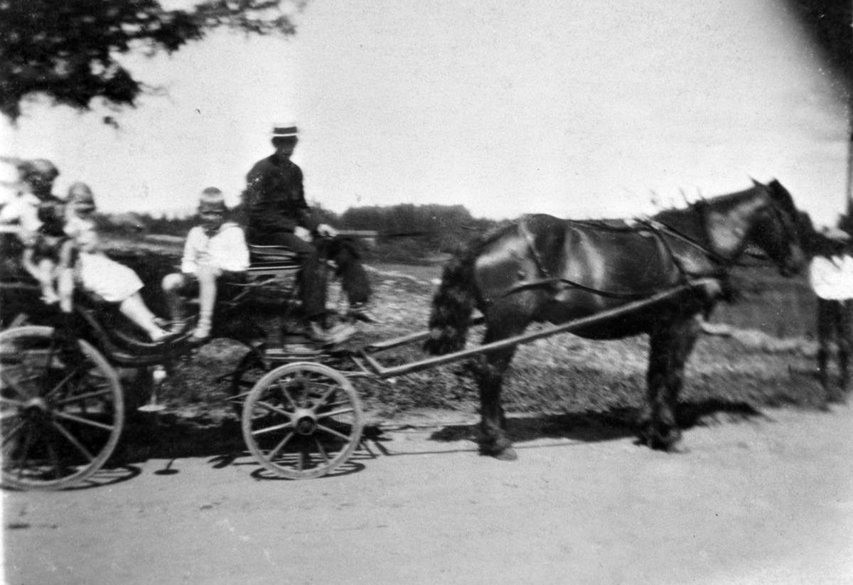 Normann Helger, HEST MED KARJOL, KUSK, FOLK, GULKUNRUD, OTTESTAD