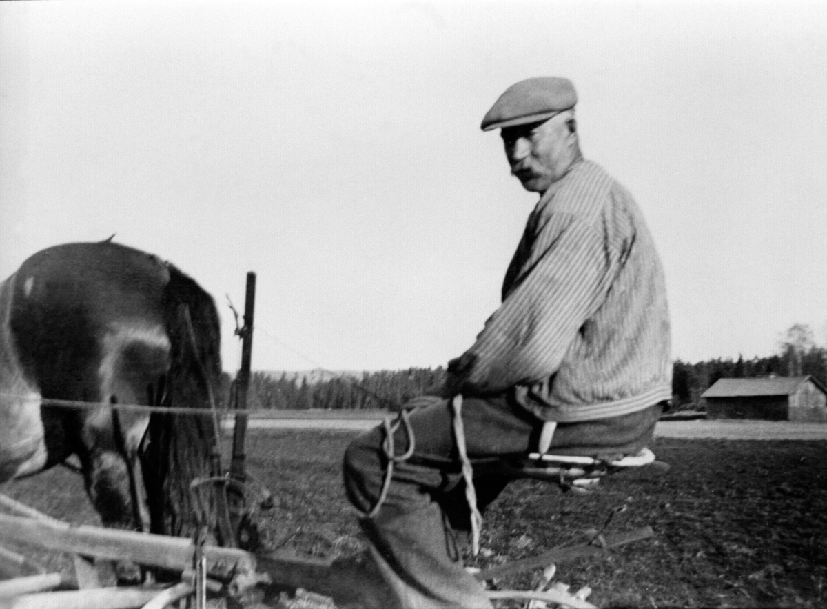 Anno Domkirkeodden, VÅRONN, OTTIN ENGEBRETSEN KJØRER HEST, BUSVOLD.