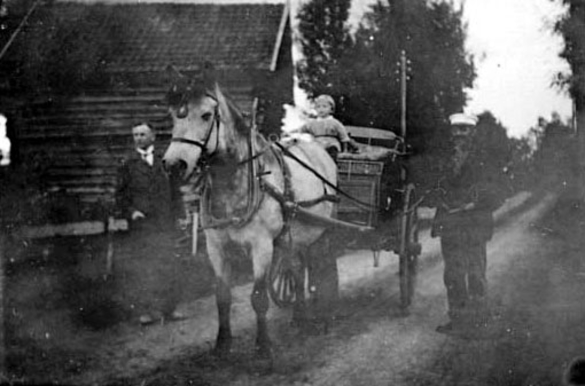 Anno Domkirkeodden, HEST MED GIGG, ROSENLUNDSBLAKKEN, MED HVIT LUE: PETTER FREDRIK SUHMWILLE, GUTTORM PRAG SEN. I GIGGEN: GUTTORM PRAG JR. PÅ BYGDEVEGEN MELLEM ILSENG OG LØTEN.