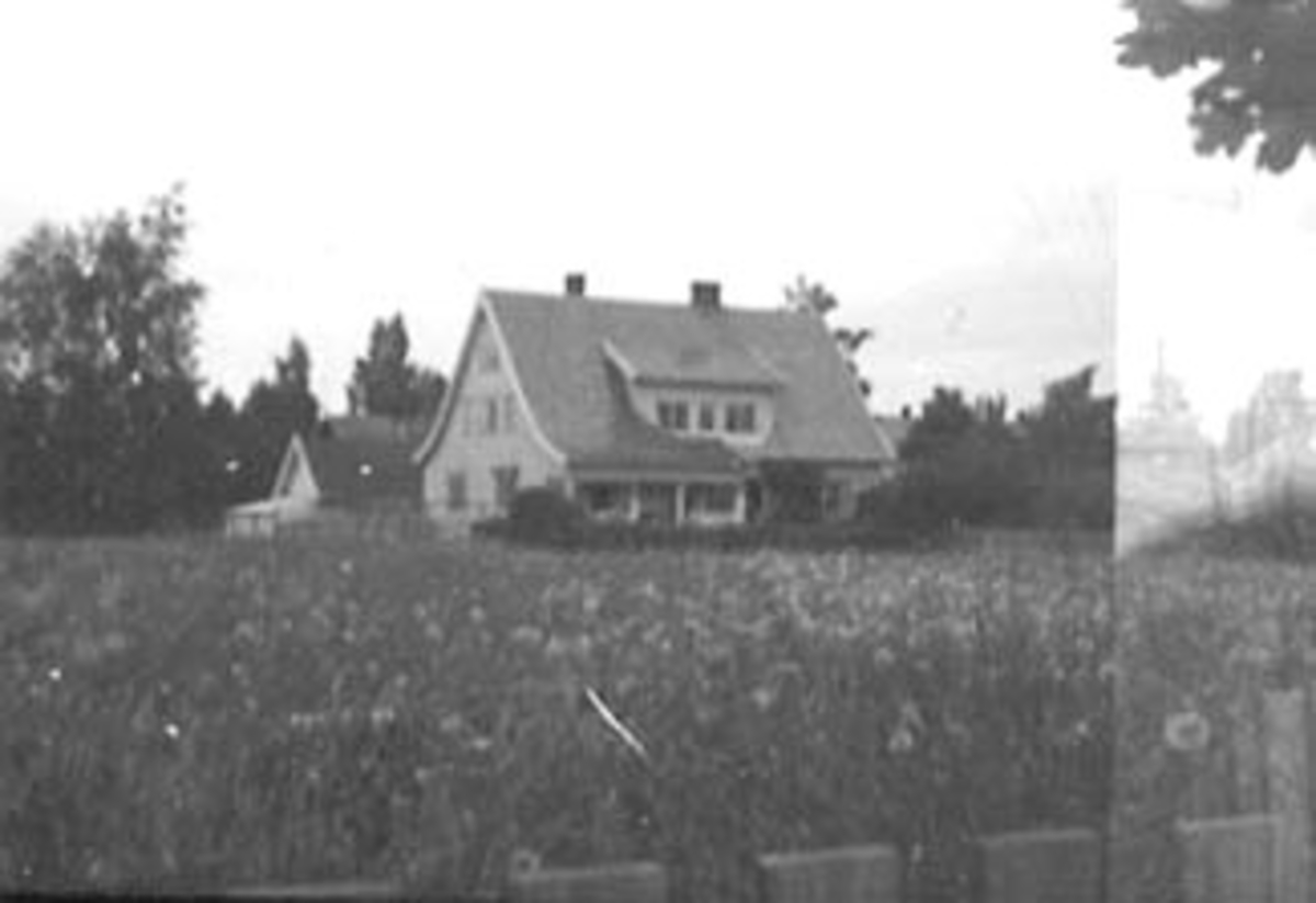 Anno Domkirkeodden, EKSTERIØR: BOLIG ENEBO, KONGSVEGEN, STANGEBYEN Huset ble oppført i 1914 og første eier var Tannlege Melby på Stange. Arkitekt var Harald Hals som senere ble byplanlegger i Kristiania. Melby drev sin tannlegepraksis i huset som i tillegg var bolig. Senere overtok Tannlege Strømsø huset, som fortsatt…