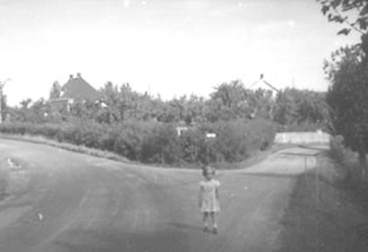 Anno Domkirkeodden, OVERSIKT RIKSVEG 50/KRISTIAN FJELDSVEG, SOLE, ELSTAD I BAKGRUNNEN, STANGEBYEN