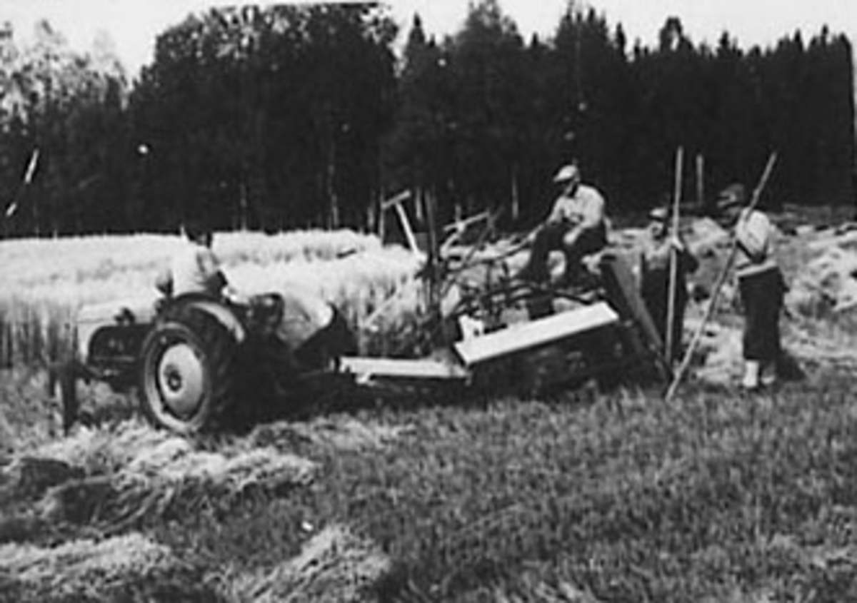 Normann Helger, SKURONN, TRAKTOR MED SELVBINDER, FOLK, STANGE