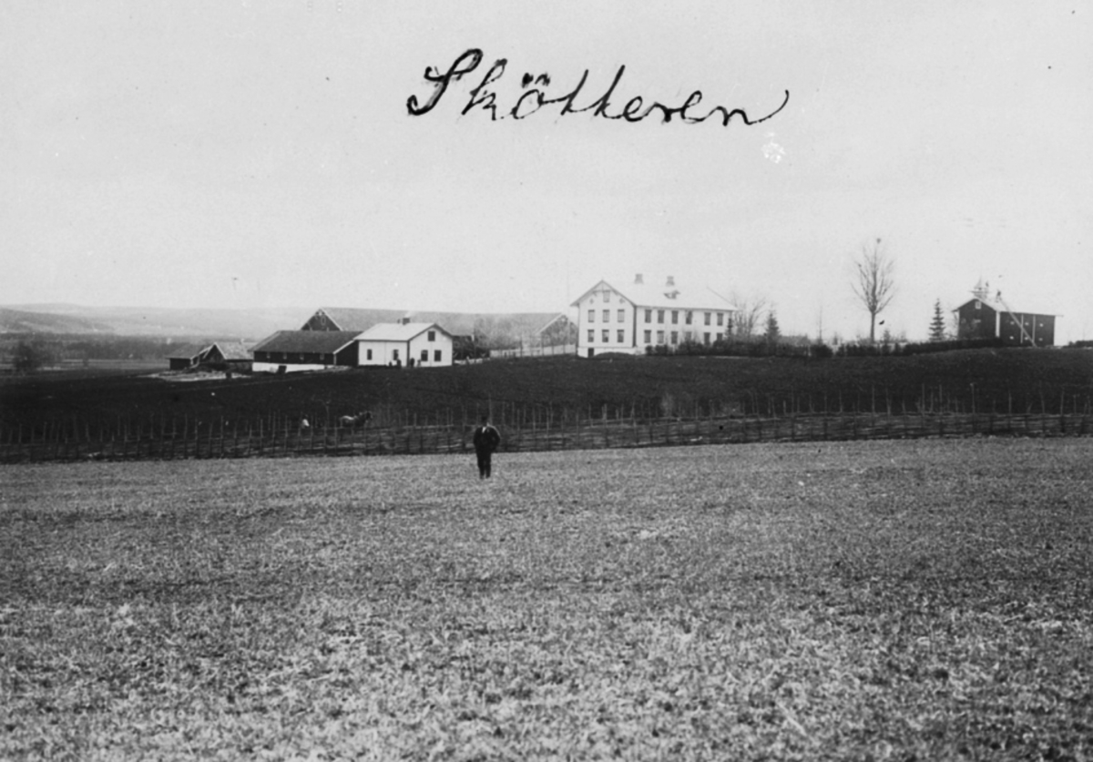 Anno Domkirkeodden, EKSTERIØR: GARDSBRUK, SKØTTEREN GÅRD,