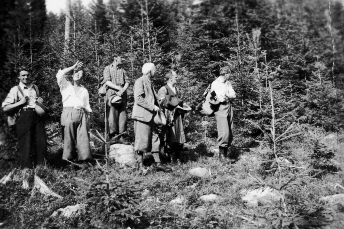 Anno Domkirkeodden, GRUPPE: 6 MENN, SKOGSBEFARING, FRA VENSTRE: HELMER KILDALEN, ADOLF SKJEGSTAD, ODVAR MØRKVED, FRETTE RISBERG, JOHAN KIELLAND LUND, BJØNNÅTLIA,