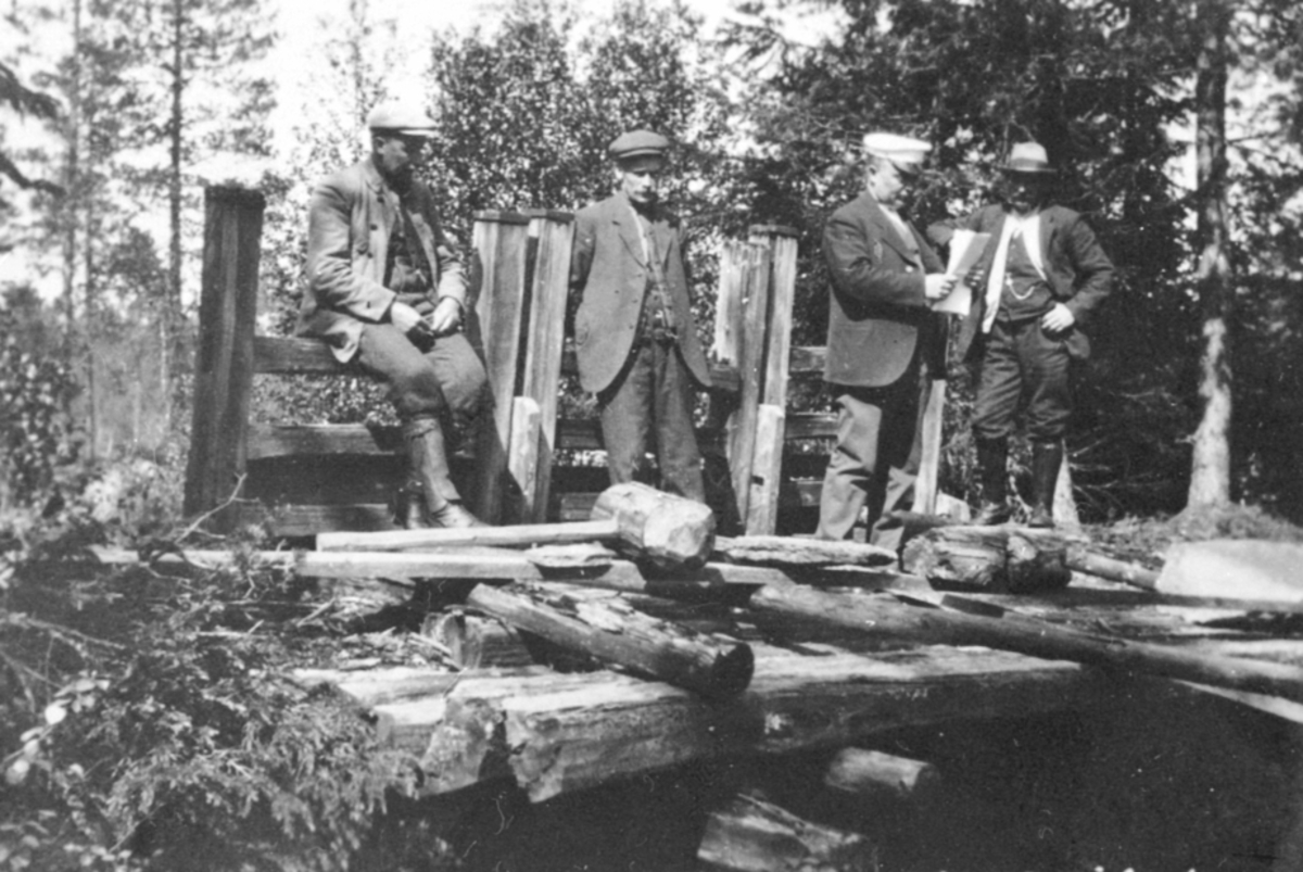 Anno Domkirkeodden, DEMNING, GAUKILDAMMEN, FOLK, ROMEDAL ALLMENNING