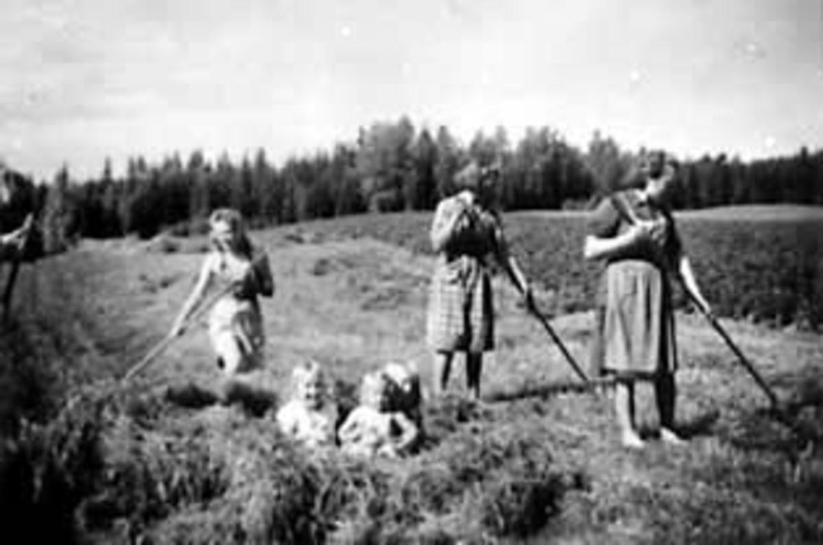 Anno Domkirkeodden, HØYONN, GRUPPE: 6, FILSETH SØSTRE MED BARN, RAKER HØY, FILSETH, ÅSVANG