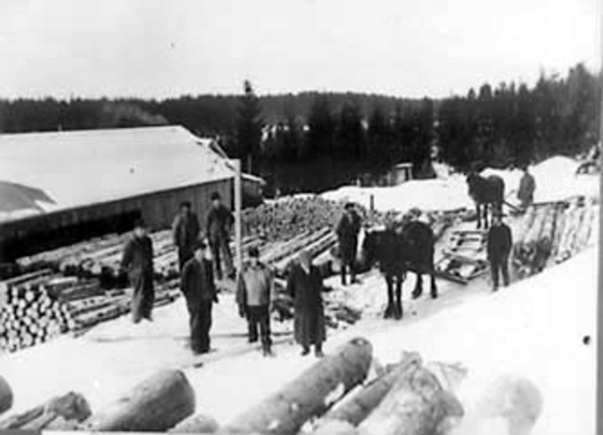 Anno Domkirkeodden, EKSTERIØR: TØSTISAGA, VALLSET, GRUPPE: 9 MENN, HESTER, 3 MENN FORAN TIL VENSTRE: ANDERS MESSUNDSTAD, ANDERS SJØENDEN, GUTTEN MED HESTEN ER LEIF ENGEN. RØDSJØ.