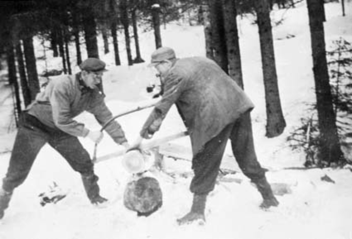 Anno Domkirkeodden, VEDSAGING, HELGE LARSEN OG AKSEL KOMATT DRAR SAGA, VINTER, NØTTESTADMARKA, NØTTESTAD SØNDRE