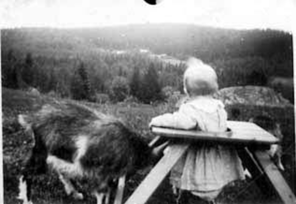 Anno Domkirkeodden, PORTRETT: LITA JENTE I HJEMMELAGET GÅSTOL PETRA PEDERSEN, SKJESETERHOLEN, OPTJERNSBERGET I BAKGRUNNEN