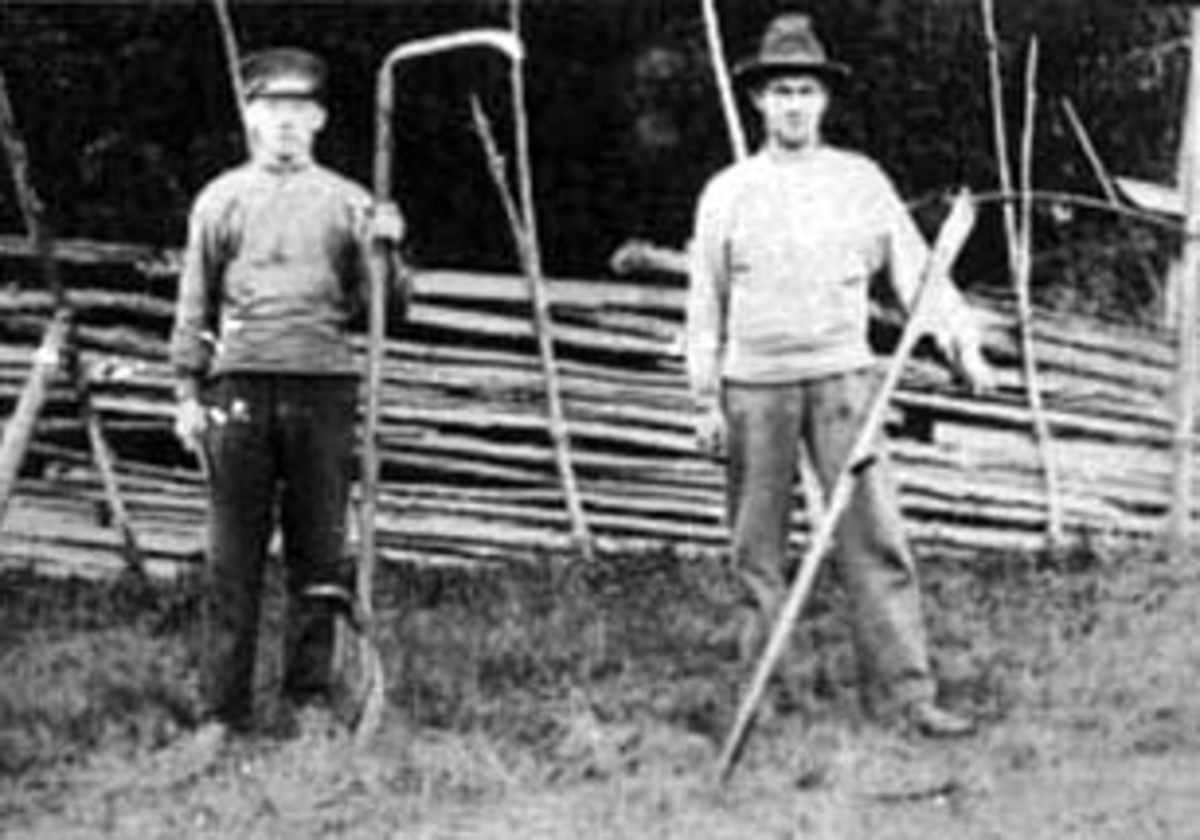 Normann Helger, SLÅTTONN, GRUPPE: 2 MED LJÅ PÅ ROMSETRA, TIL HØYRE: EINAR HESTNES, SKIGARD I BAKGRUNNEN, ROMEDAL ALLMENNING