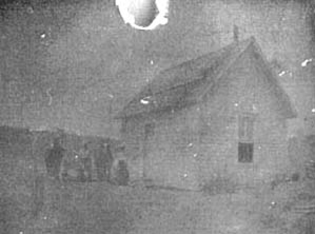 Normann Helger, EKSTERIØR: BOLIG, USA, EKTEPAR MED 2 HESTER FORAN HUSET, (STANGE)