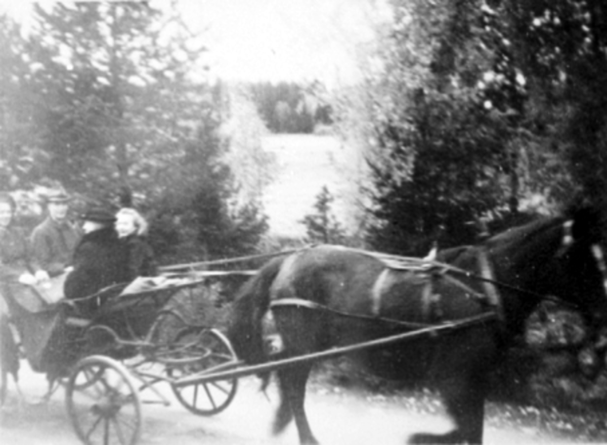 Anno Domkirkeodden, KIRKETUR TIL VALLSET KIRKE MED HESTESKYSS, TRILLE, FRA VENSTRE: IDUN FILSETH MED FORELDRENE: OLE OG SERINE FILSETH