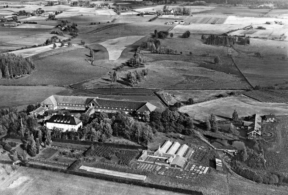 Anno Domkirkeodden, STAUR GARD, STANGE VESTBYGD, FLYFOTO, 1937