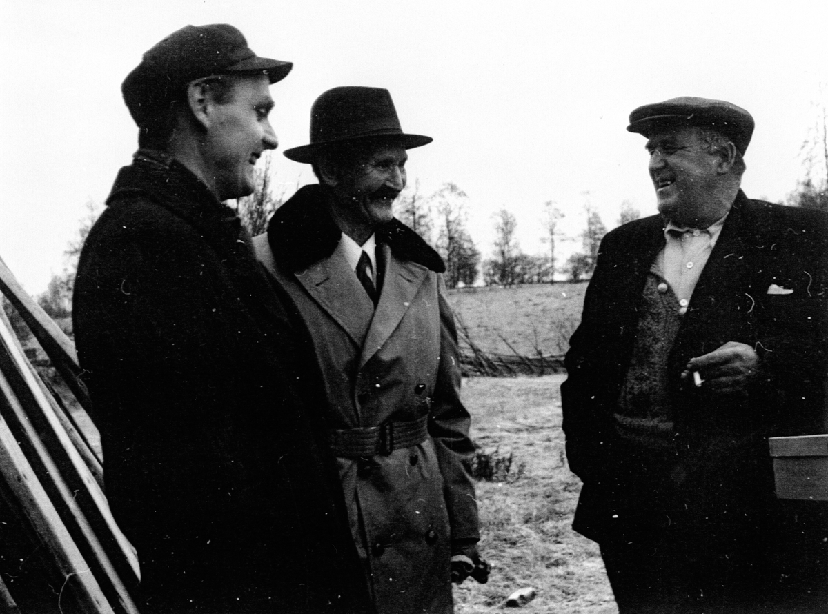Anno Domkirkeodden, FRA VENSTRE GARTNER FRIDTJOF JOHNSTAD, HELGE OLSEN, GARTNER ODD JOHNSTAD.