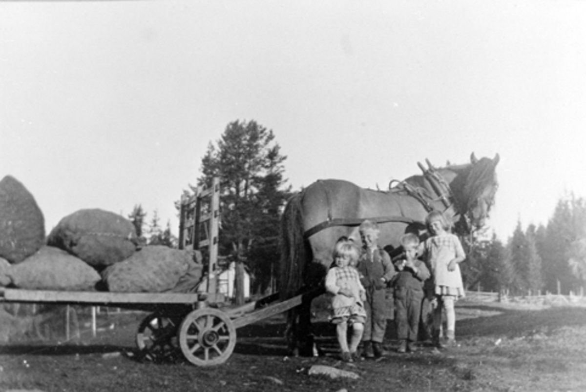 Anno Domkirkeodden, HEST OG HØYVOGN, SEKKELASS, BARN, F. V. NORA, ODD, BIRGER OG JORUNN SØRLI, HESTEKJØRETØY, 1933-1934