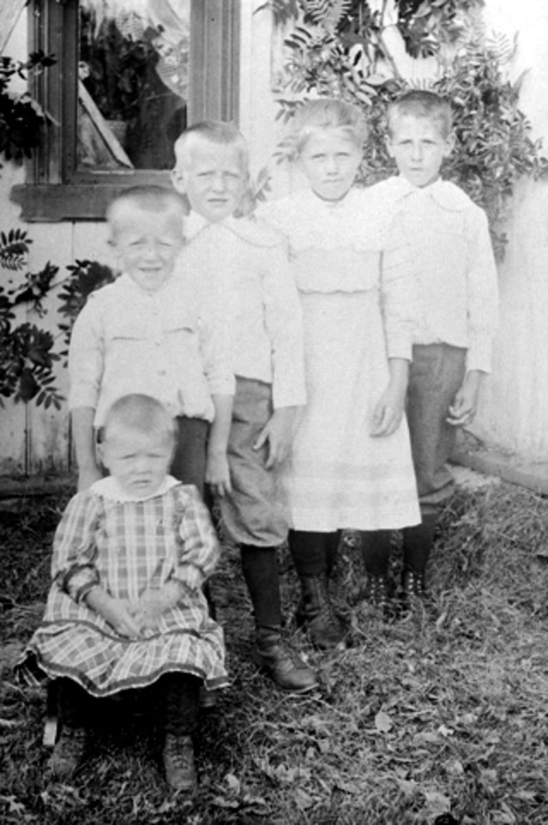 Anno Domkirkeodden, GRUPPE 5 BARN HEKNERYDNINGEN I ROMEDAL, SOMMEREN 1911. FORAN PALMA KJELLAUG HOLEN, EIVIND HOLEN, SYVER HOLEN, KIRSTI HOLEN OG LARS HOLEN
