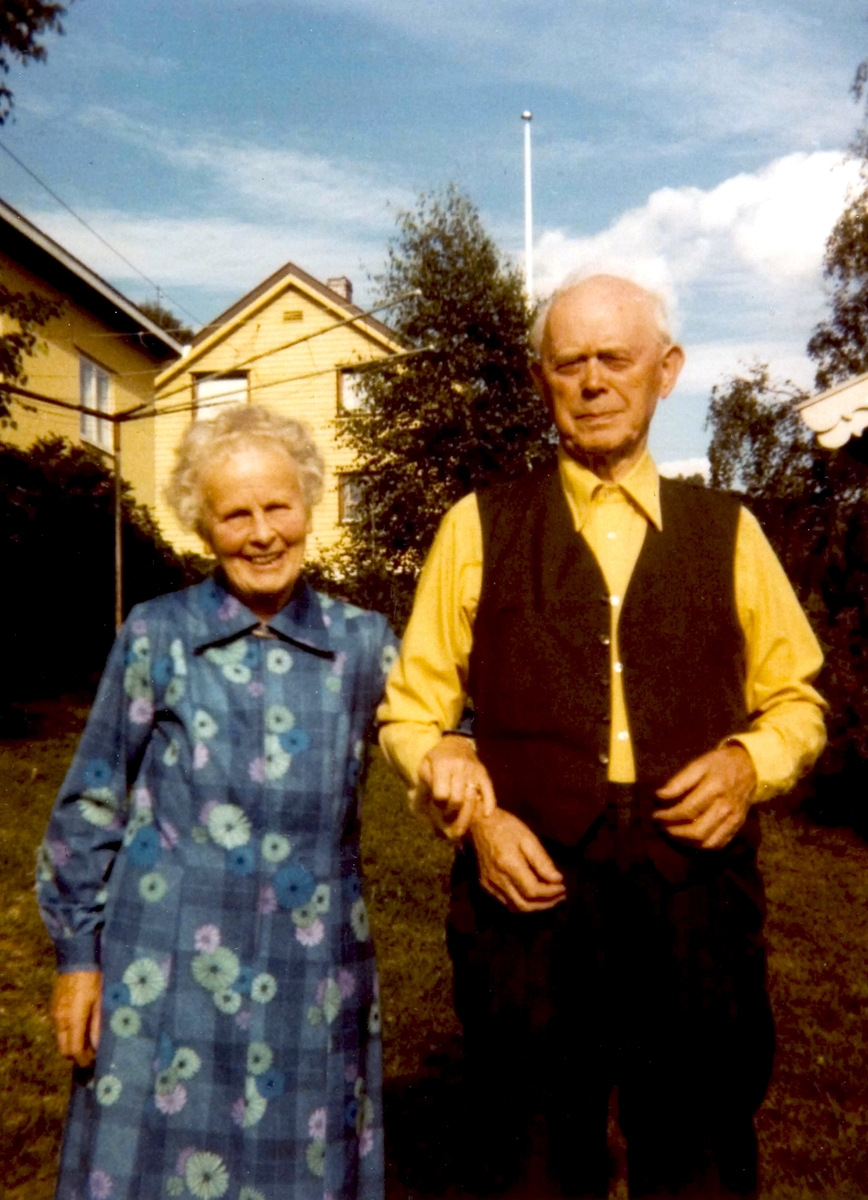 Anno Domkirkeodden, 0417-10948