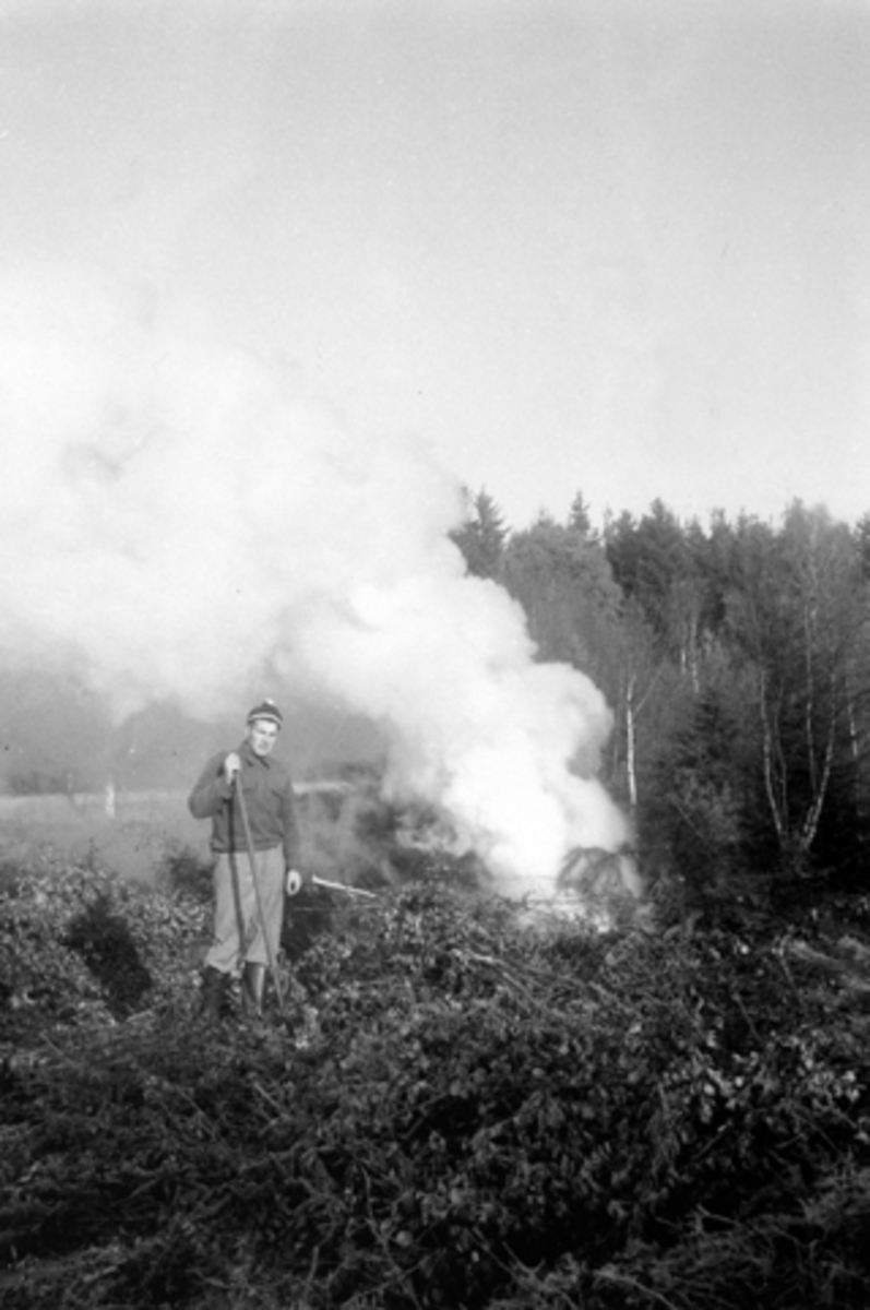 Anno Domkirkeodden, ODD JENSEN BRENNER BÅL, BRÅTE, RYDDING AV TOMT PÅ TYRIMO, ILSENG, CA 1960. Bråtebrenning.
