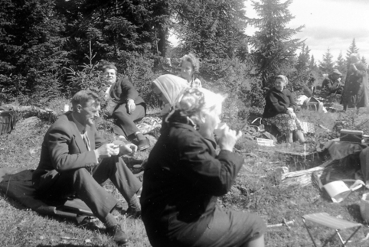 Anno Domkirkeodden, ILSENG PENSJONISTFORENING PÅ TUR TIL WADAHLS HØYFJELLSHOTELL, RAST I DET GRØNNE, MENNENE ER F. V. MARIUS WILSON OG ODD JENSEN, KVINNEN NÆRMEST ER BERTHA VESTGÅRD,