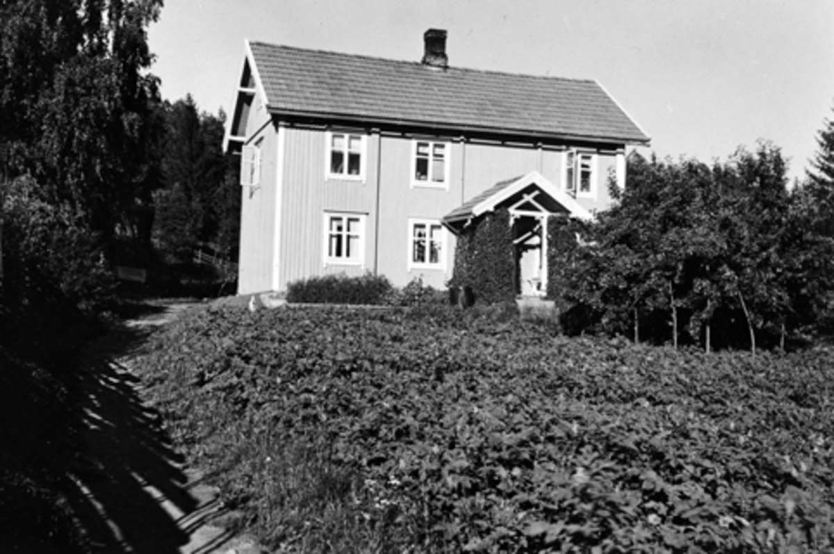 Anno Domkirkeodden, SOLBAKKEN PÅ TANGEN, EKSTERIØR