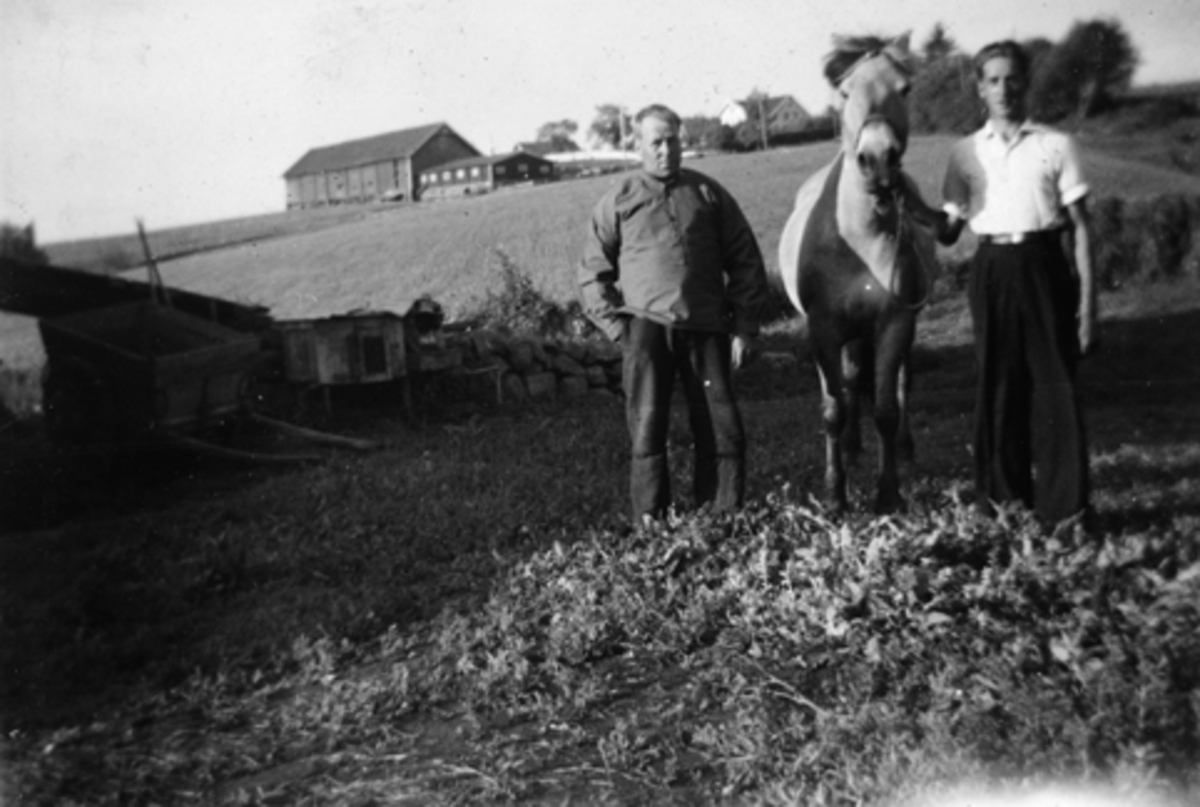 Anno Domkirkeodden, FRA VENSTRE LARS ØDEGAARD OG KRISTIAN ØDEGAARD PÅ 1930-TALLET. ØDEGAARD I STANGE. HEST OG KANINBUR. LALUM GARD I BAKGRUNNEN.