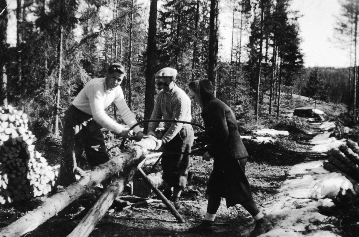 Ukjent, Fiskvik, hytte ved Harasjøen. Saging av vinterved. Sagkrakk, buesag. F. v. Oddvar Botten, Henry Foss, 1919-2012 og Helga Ester Jølstad, i 1946 g. m. Oddvar Botten