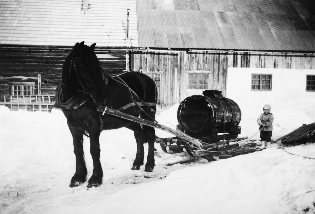 Ukjent, Jølstad i Vallset vinteren 1958. her kjøres det vann til folk og dyr.. Brønnen på gården gikk tom på vinteren og i tørre sommere. Sigurd Karsten Fagerhaug f. 1955, holder tømmene til hesten