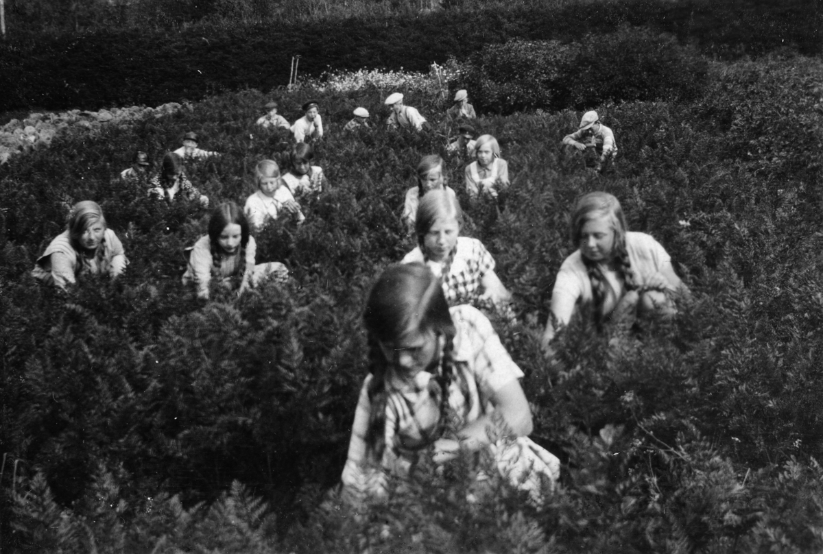 Ukjent, Åsmarka skole i Ringsaker. Skoleelver i skolehagen, ca. 1925. Grunnlegger av skolehagen var lærer Harald Mangerud