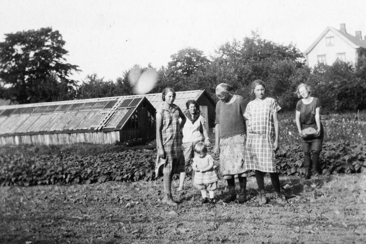 Anno Domkirkeodden, Gartneriet på Sakslund. Fra v. : Asgerd Evenstad, f. 1910, Ella Evenstad, f. 1904, Anna Haugen, Andrea Evenstad, f. 1912, og ukjent. Den lille jenta foran er Åse Brun, f. 26. 1. 1926, som ble drept i togulykken på Gubberud 14. 1. 1940.