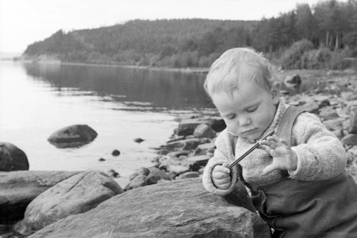 Adolf Skjegstad, Odd Kjell Skjegstad