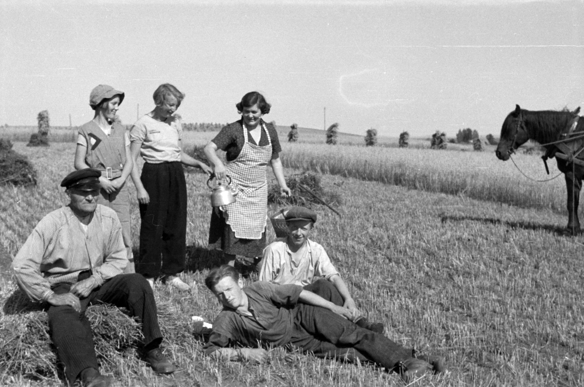 Adolf Skjegstad, SLÅTTONN, KAFFEPAUSE, UTHUS GARD? I STANGE