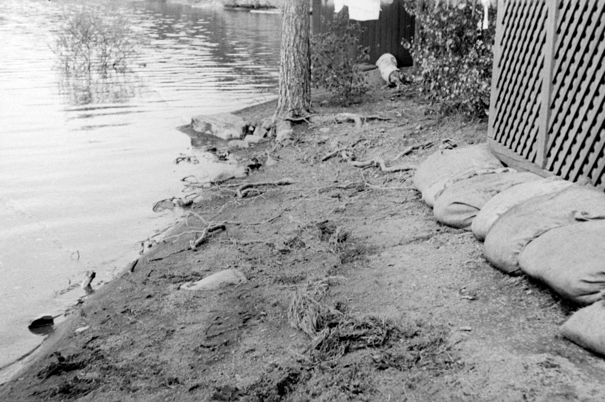 Adolf Skjegstad, PARTI VED MJØSA, SKJEGSTAD HYTTA I STRANDVEIEN, HAMAR. Flomsikring.