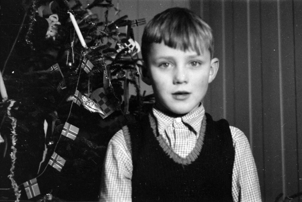 Adolf Skjegstad, Annar Skjegstad på Uthus Gård i Romedal.