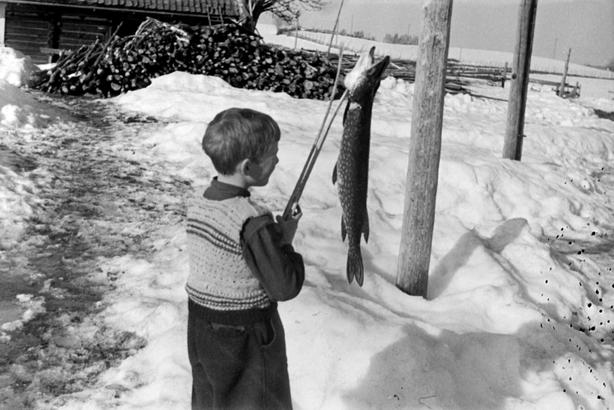 Adolf Skjegstad, Annar Skjegstad, fiskefangst, gjedde.