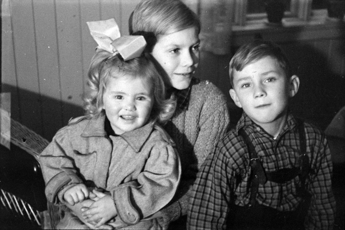 Adolf Skjegstad, Asbjørg, Odd Kjell og Annar Skjegstad, Uthus, Stange.