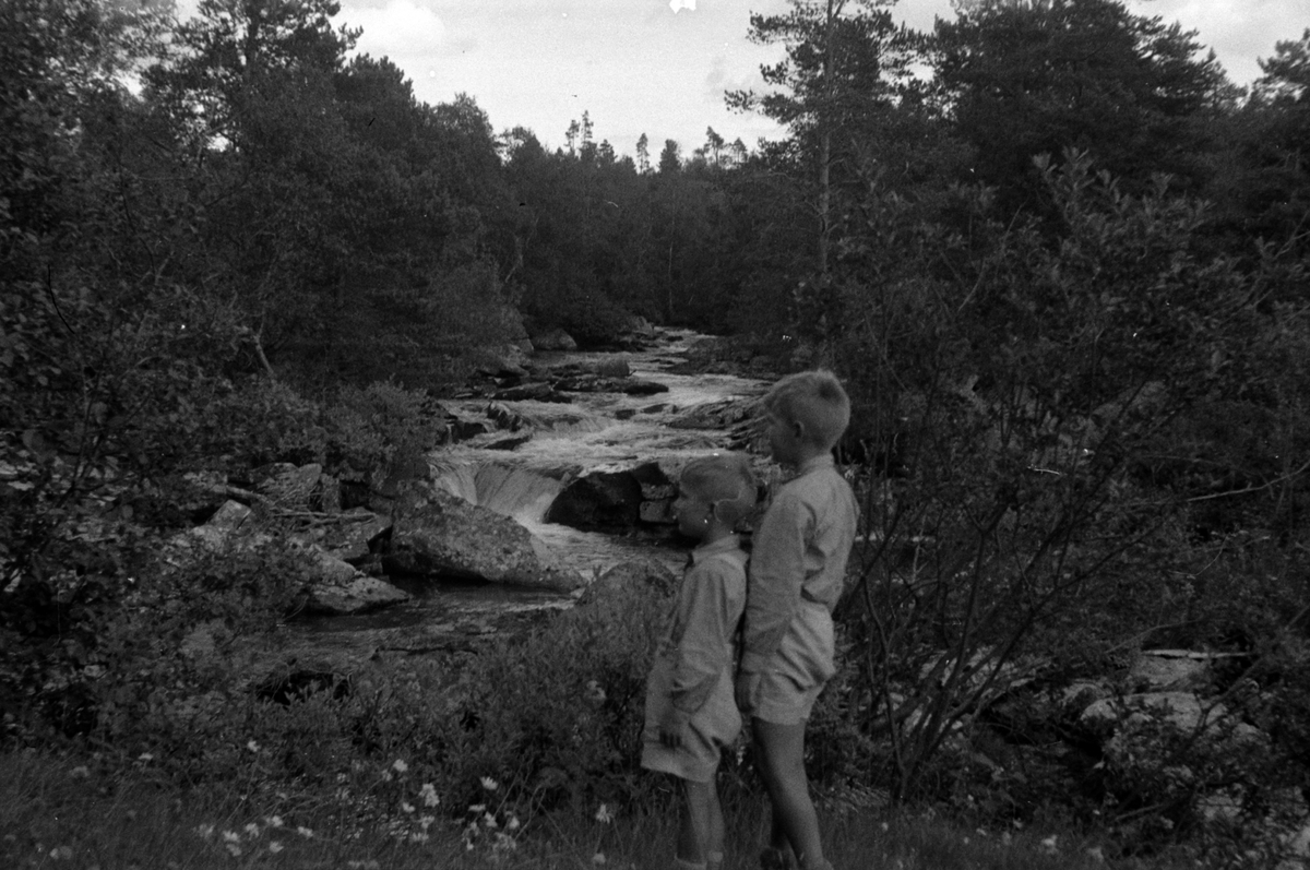 Adolf Skjegstad, Annar og Odd Kjell Skjegstad.