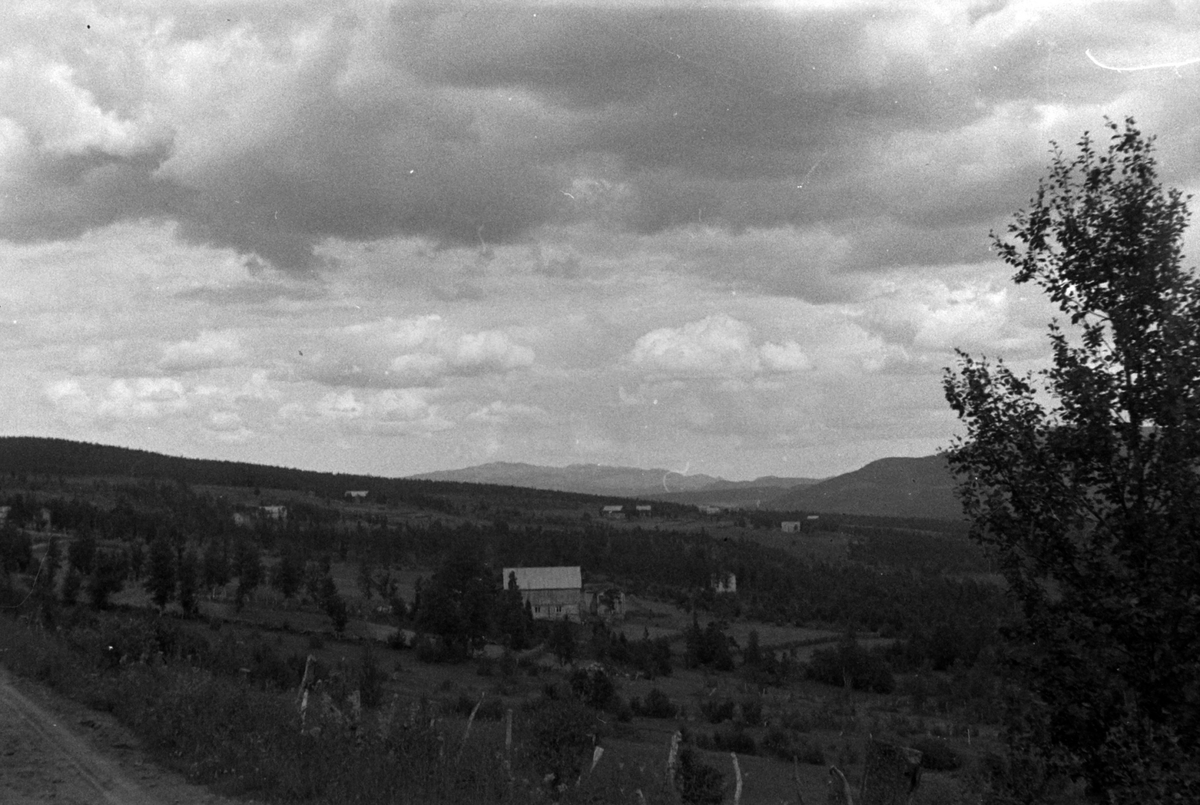 Adolf Skjegstad, ASK-01304