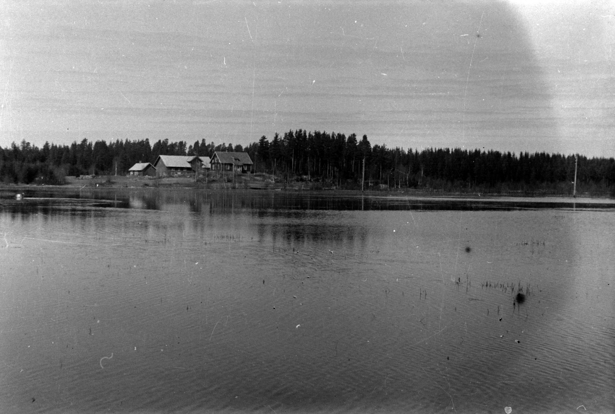 Adolf Skjegstad, ASK-01332