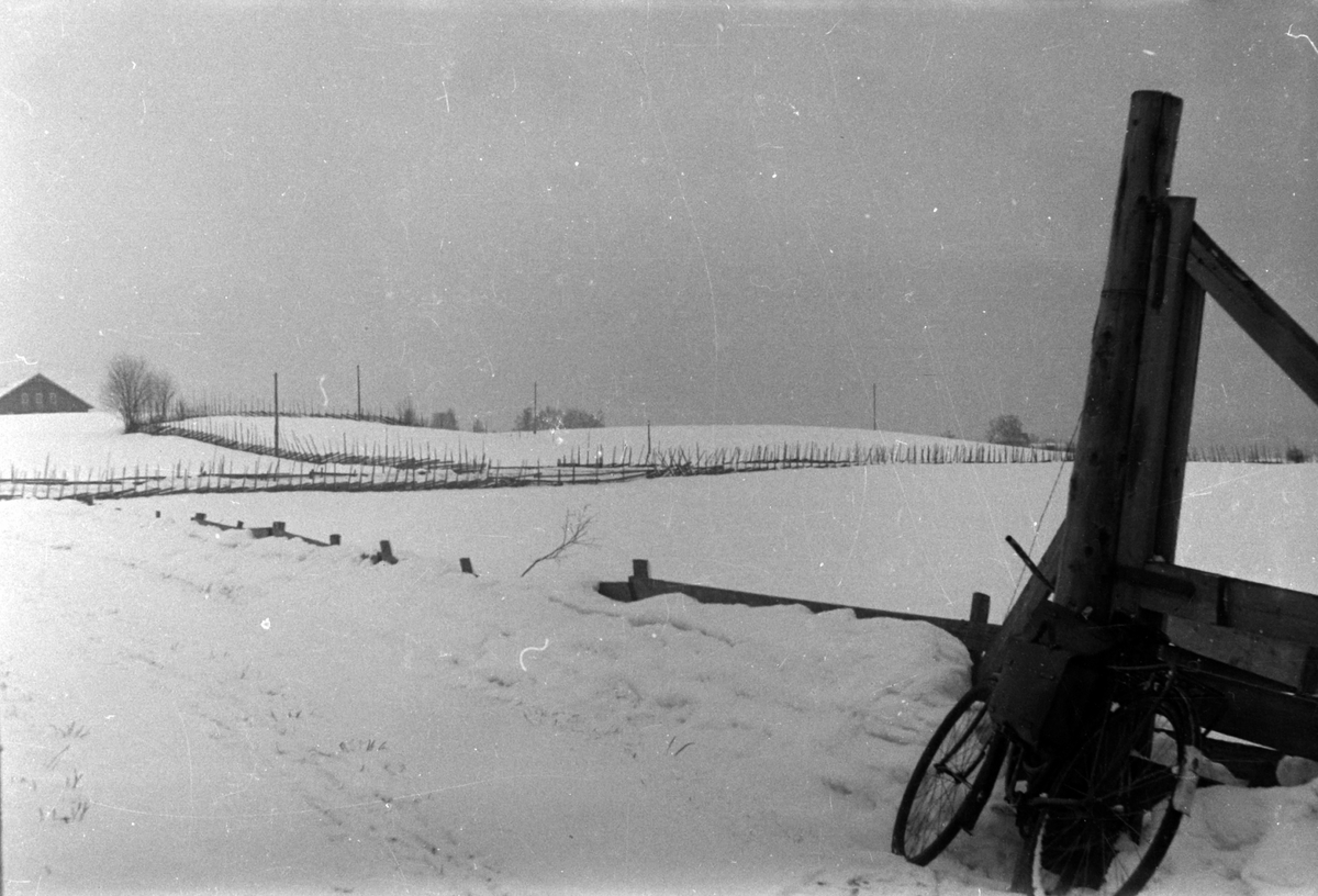 Adolf Skjegstad, ASK-01389