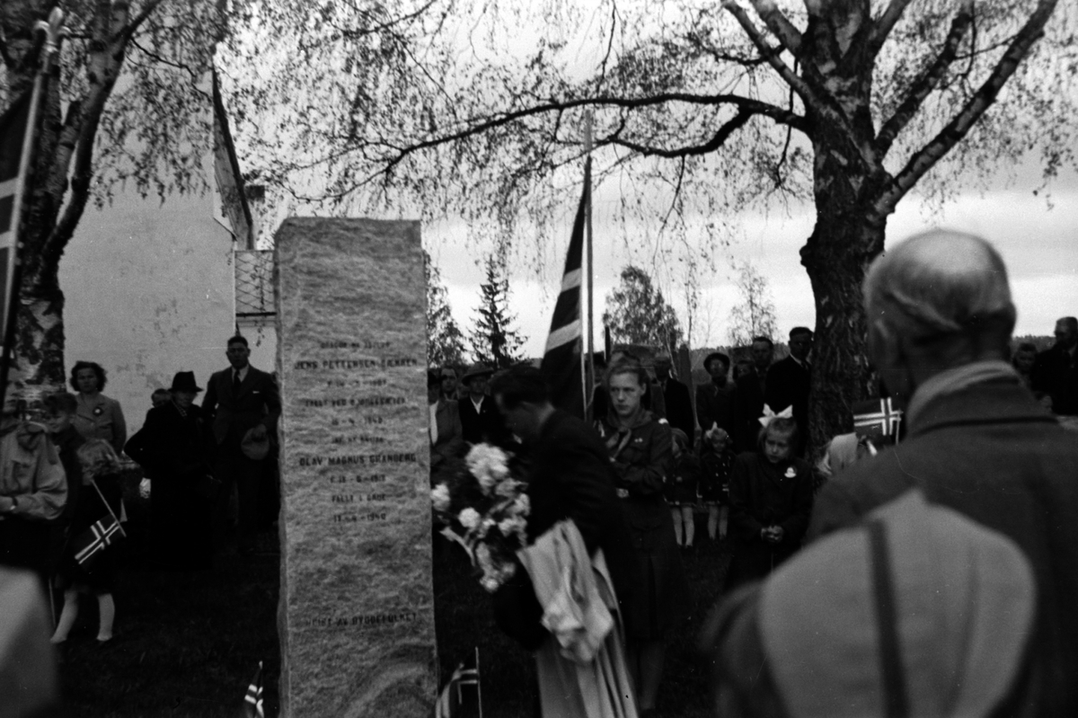 Adolf Skjegstad, ASK-01408